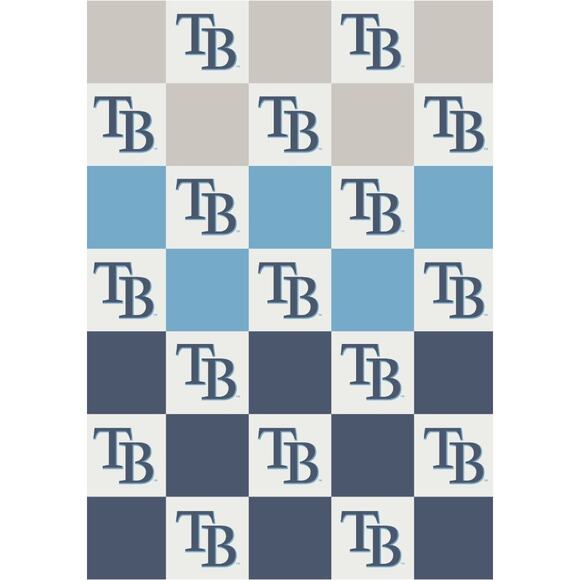 The Styled Collection Other - NEW The Styled Collection Tampa Bay Rays MLB Buttery Ombre Check Throw Blanket